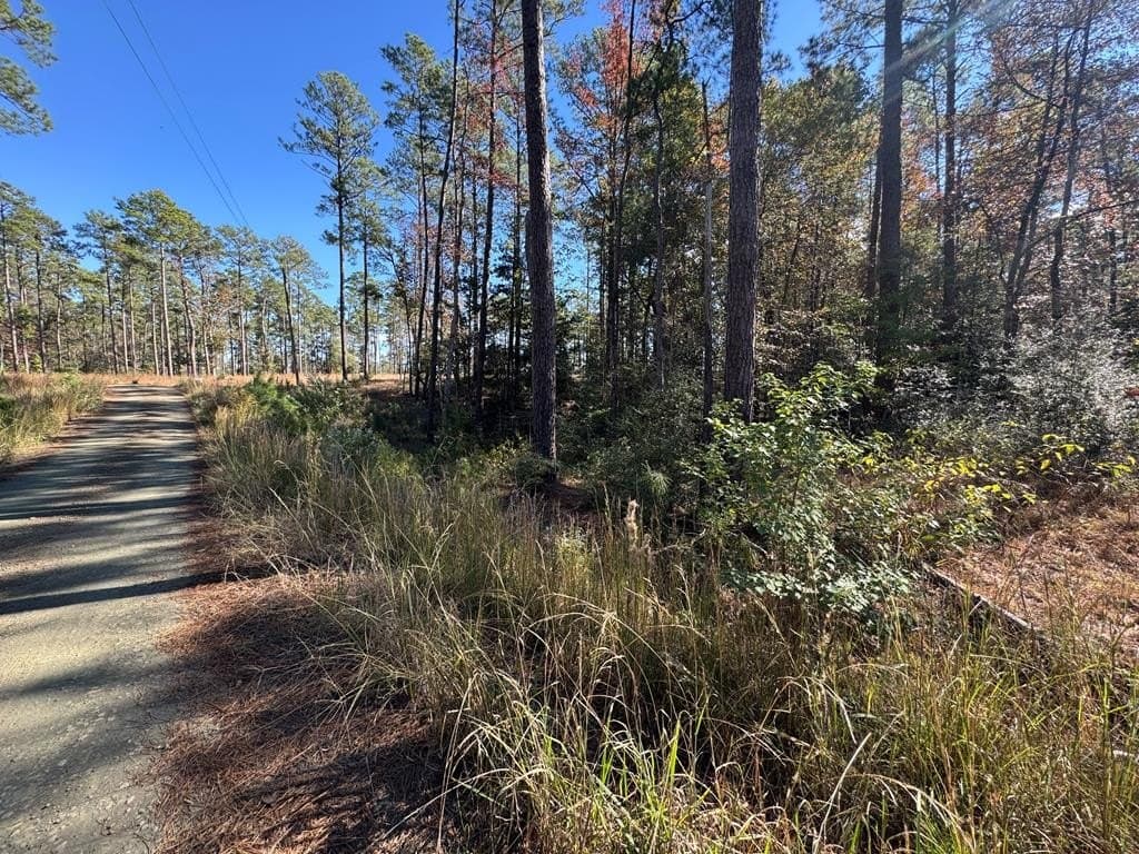 1.03 acres in Texas County
