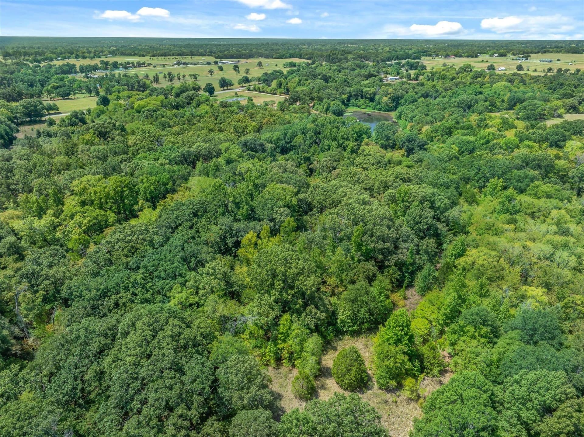 24 acres in Van Zandt County - photo 14