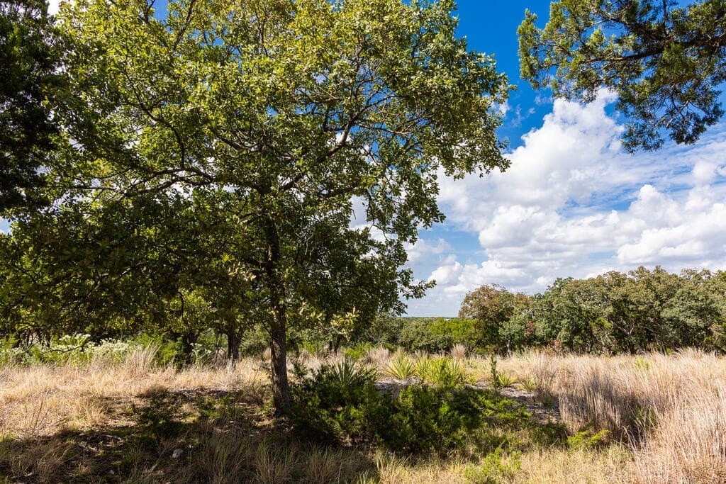 2.88 acres in Kerr County - photo 5