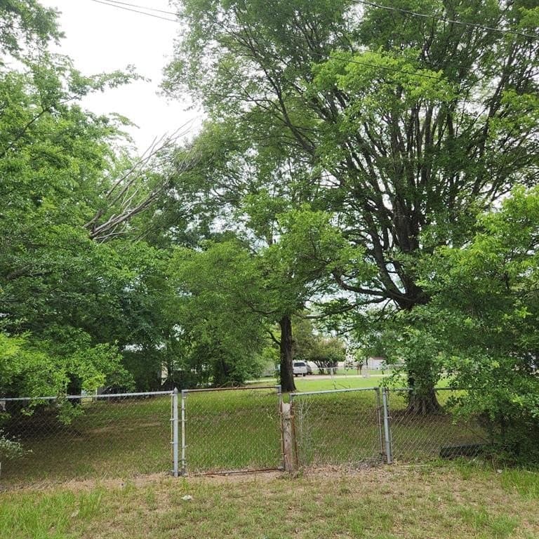 0.19 acres in Henderson County gallery image 2