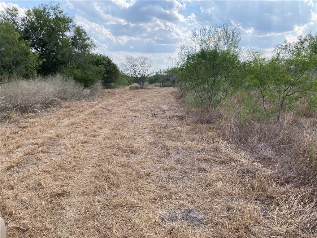150.3 acres in Duval County - photo 7