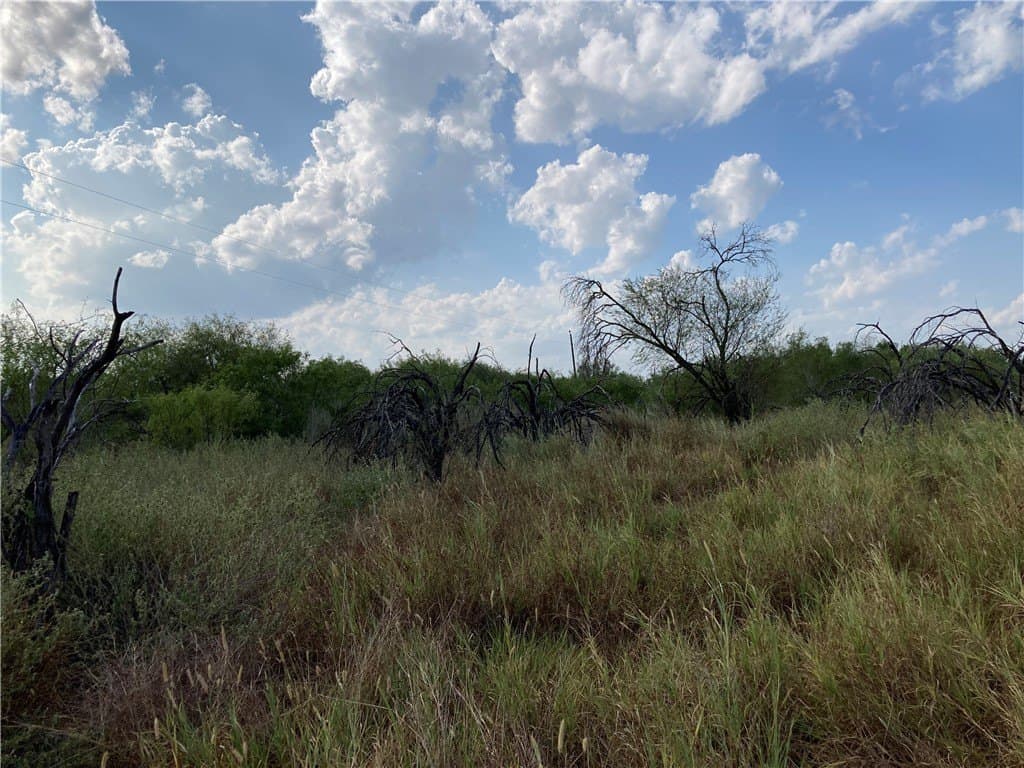 150.3 acres in Duval County - photo 18