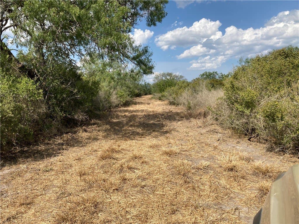 150.3 acres in Duval County - photo 6