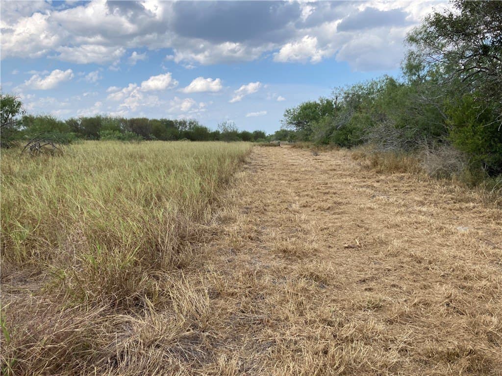 150.3 acres in Duval County - photo 9
