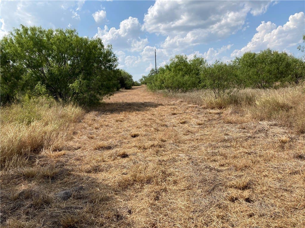 150.3 acres in Duval County - photo 4