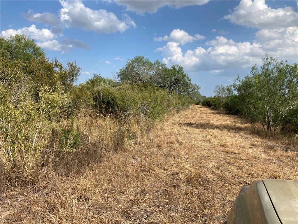 150.3 acres in Duval County - photo 12