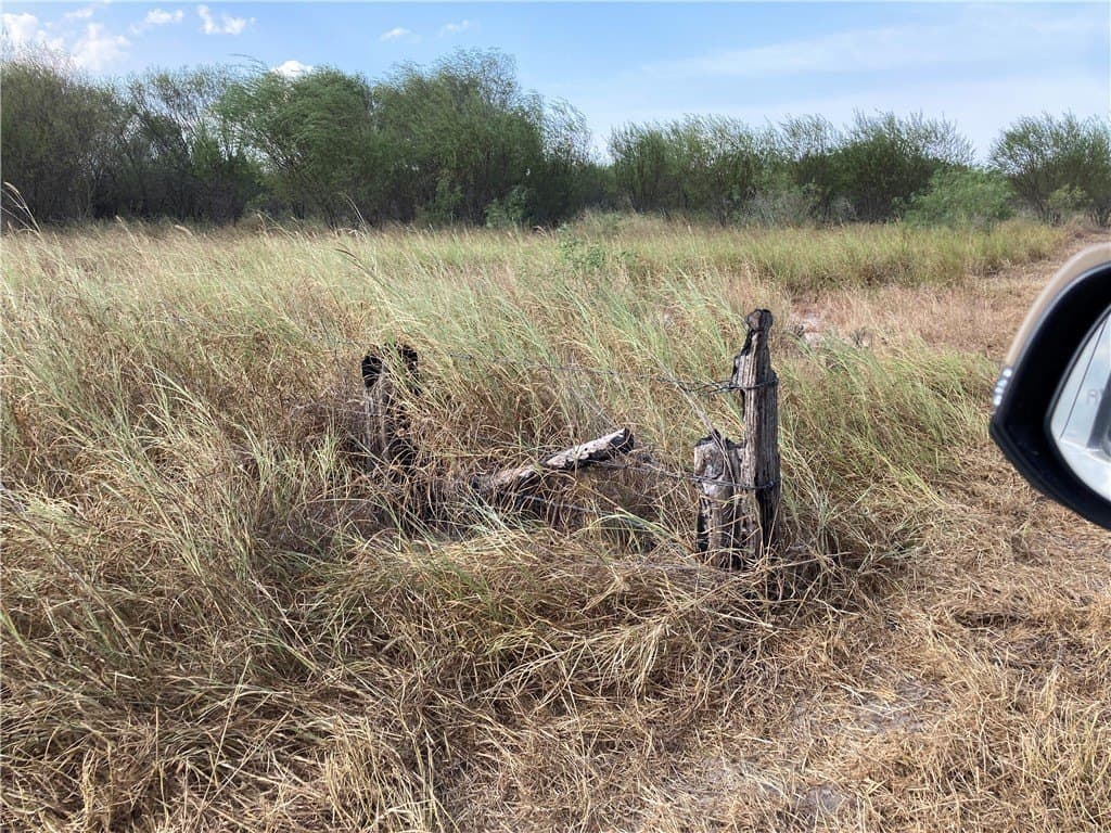 150.3 acres in Duval County - photo 19