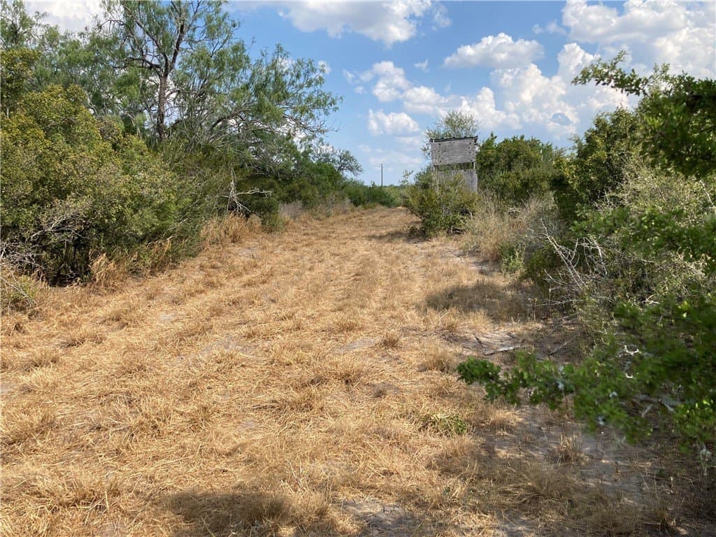 150.3 acres in Duval County - photo 5