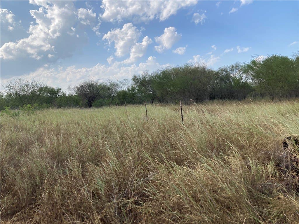 150.3 acres in Duval County - photo 20