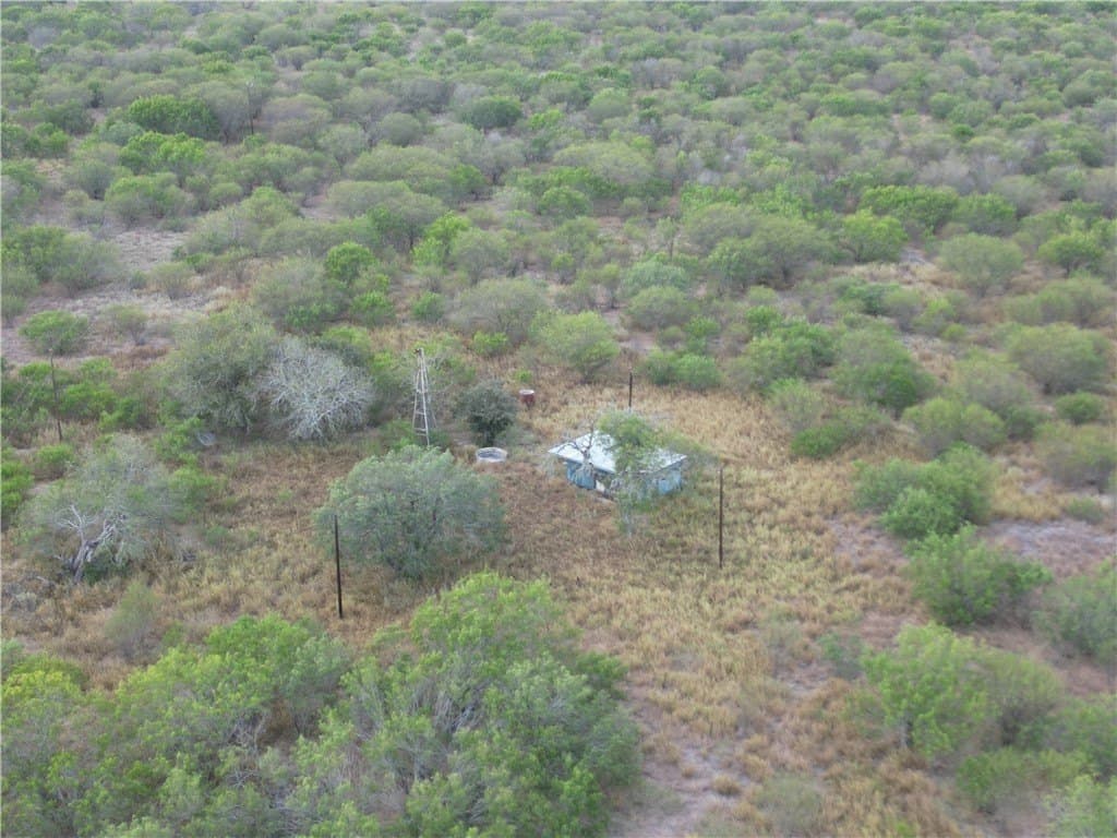 150.3 acres in Duval County - photo 3