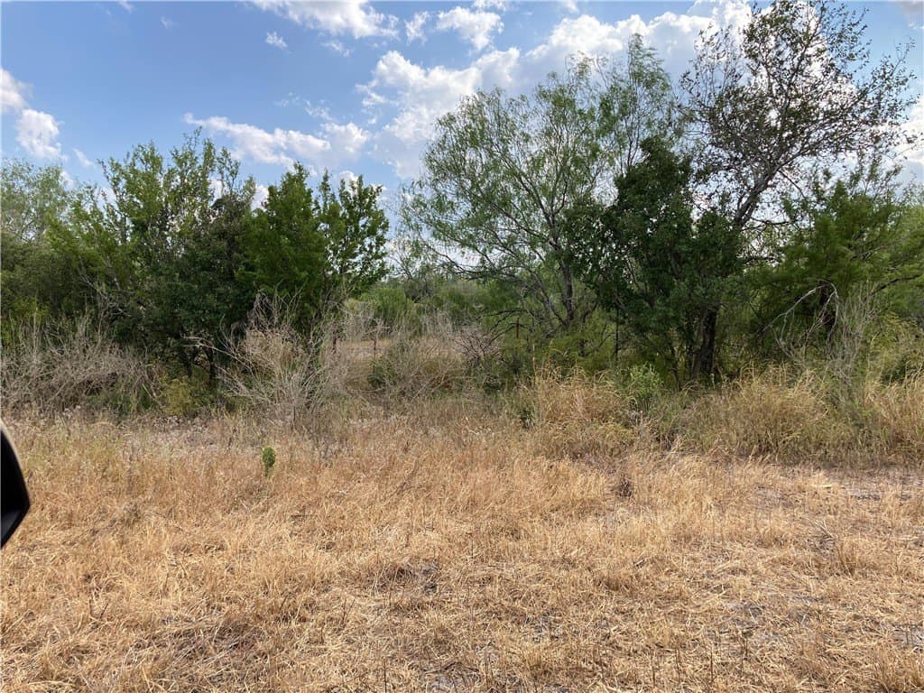 150.3 acres in Duval County - photo 13