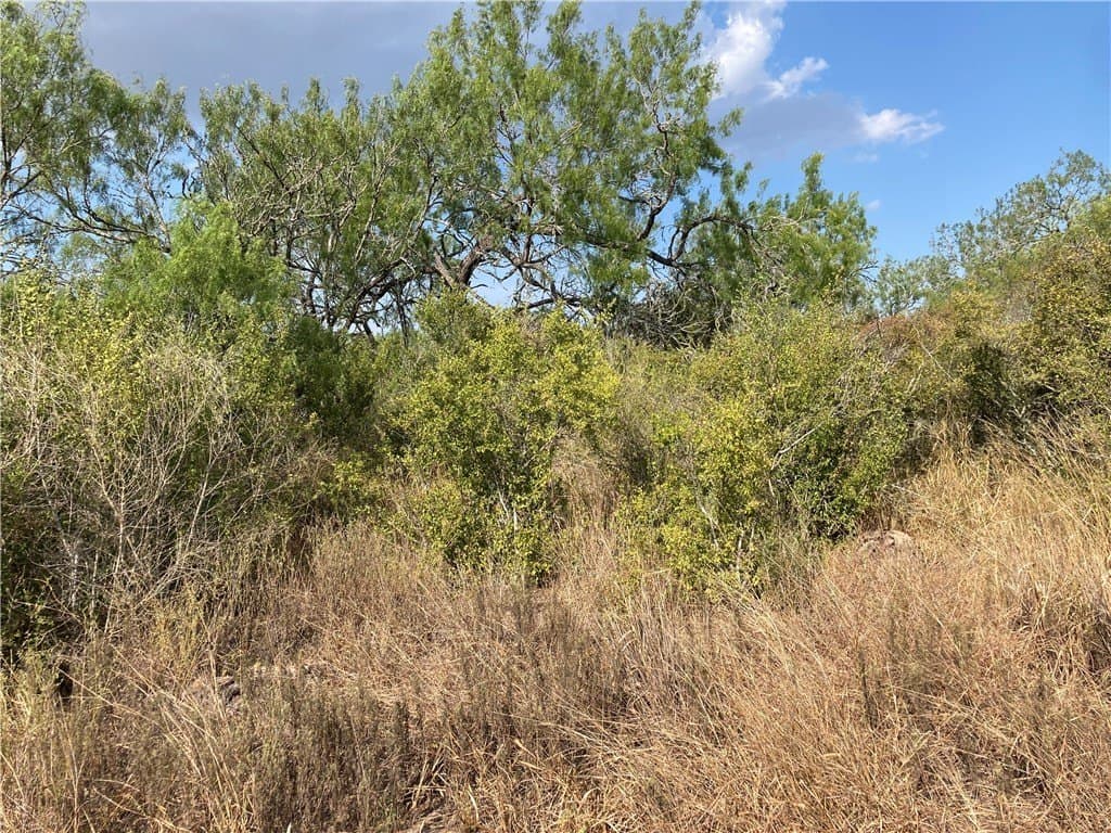 150.3 acres in Duval County - photo 11