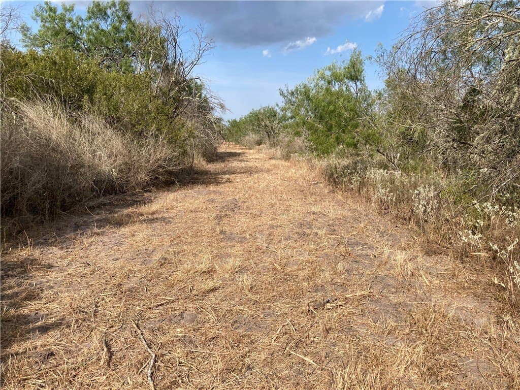 150.3 acres in Duval County - photo 10