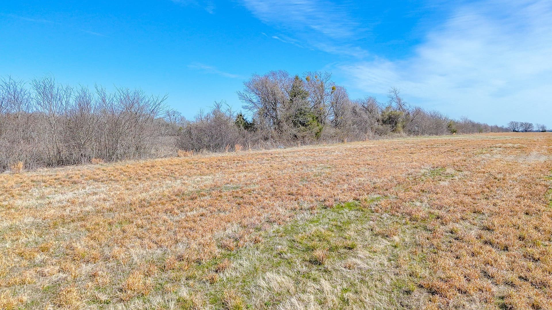 1 acres in Navarro County - photo 19