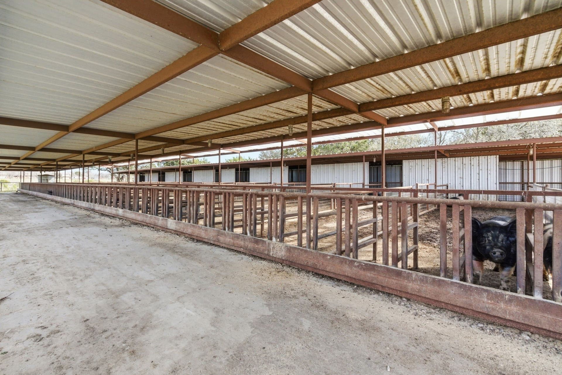 7.81 acres in Parker County - photo 15
