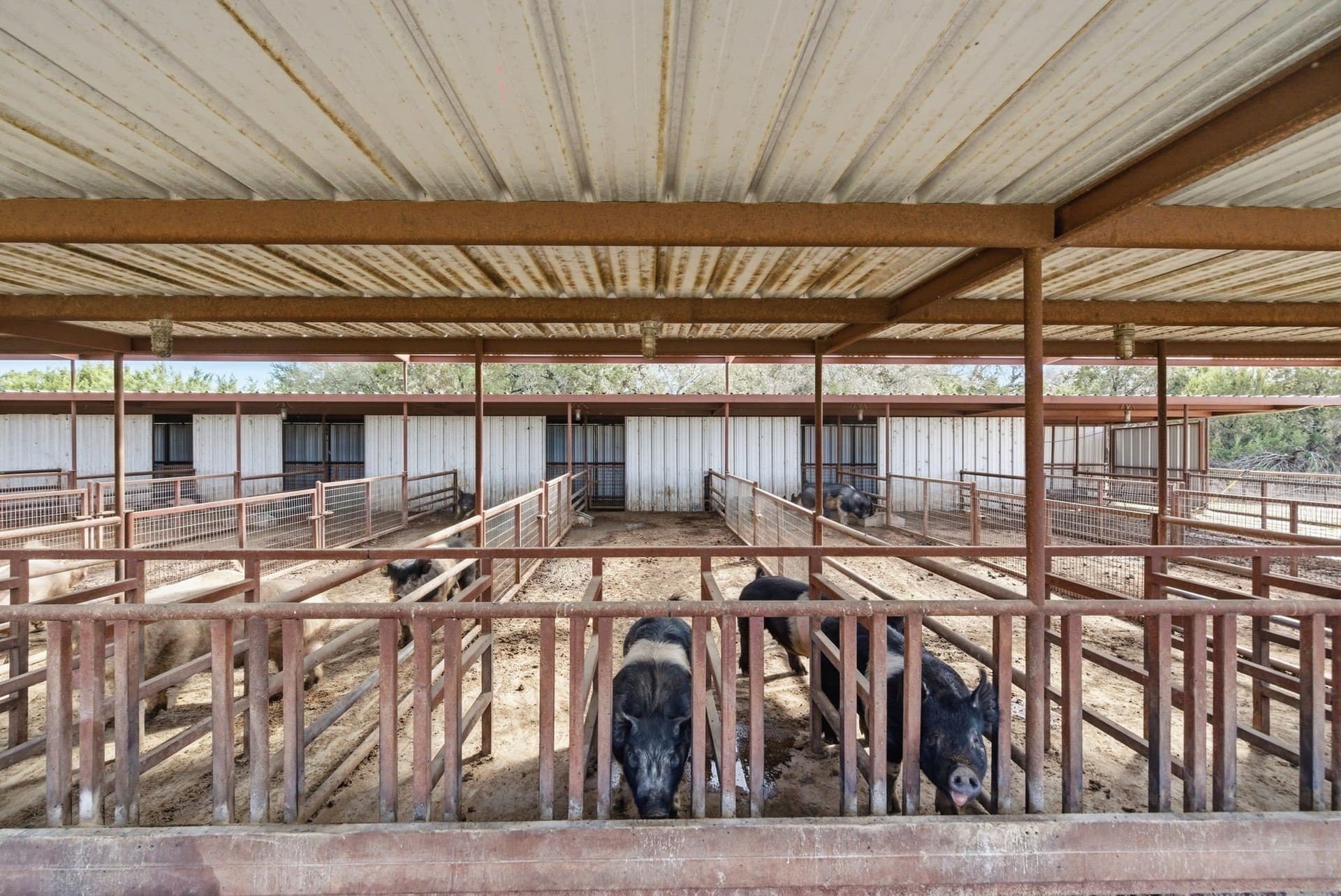 7.81 acres in Parker County - photo 16