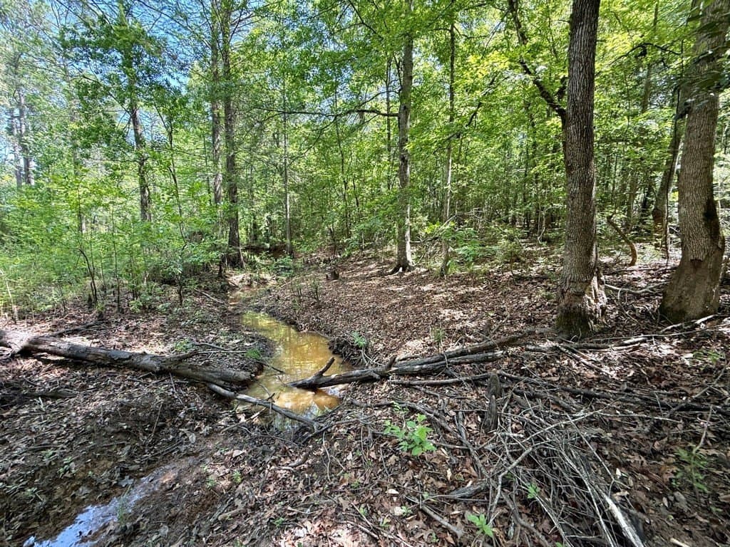 1.42 acres in Texas County featured view