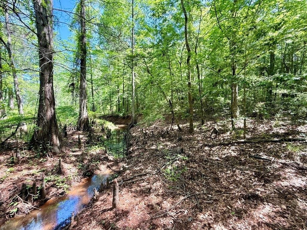 1.42 acres in Texas County