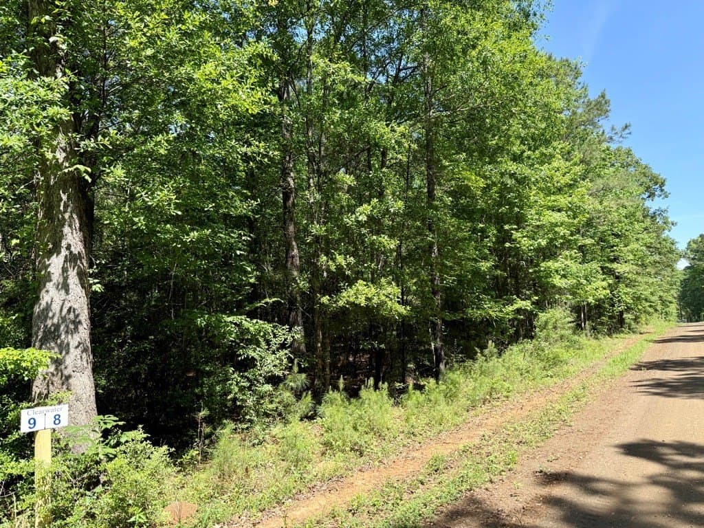 1.42 acres in Texas County gallery image 3