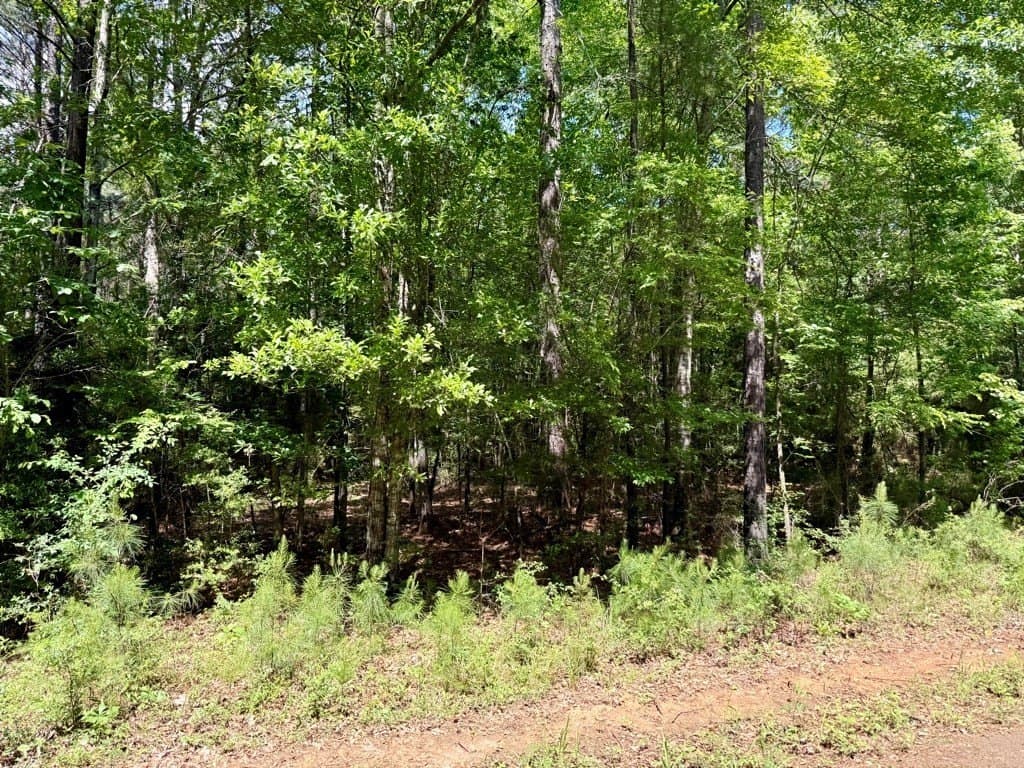 1.42 acres in Texas County gallery image 4