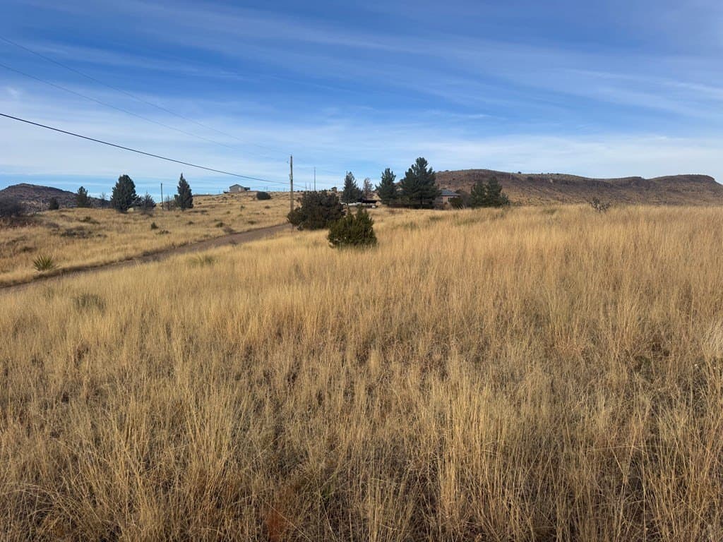 5 acres in Jeff Davis County - photo 6