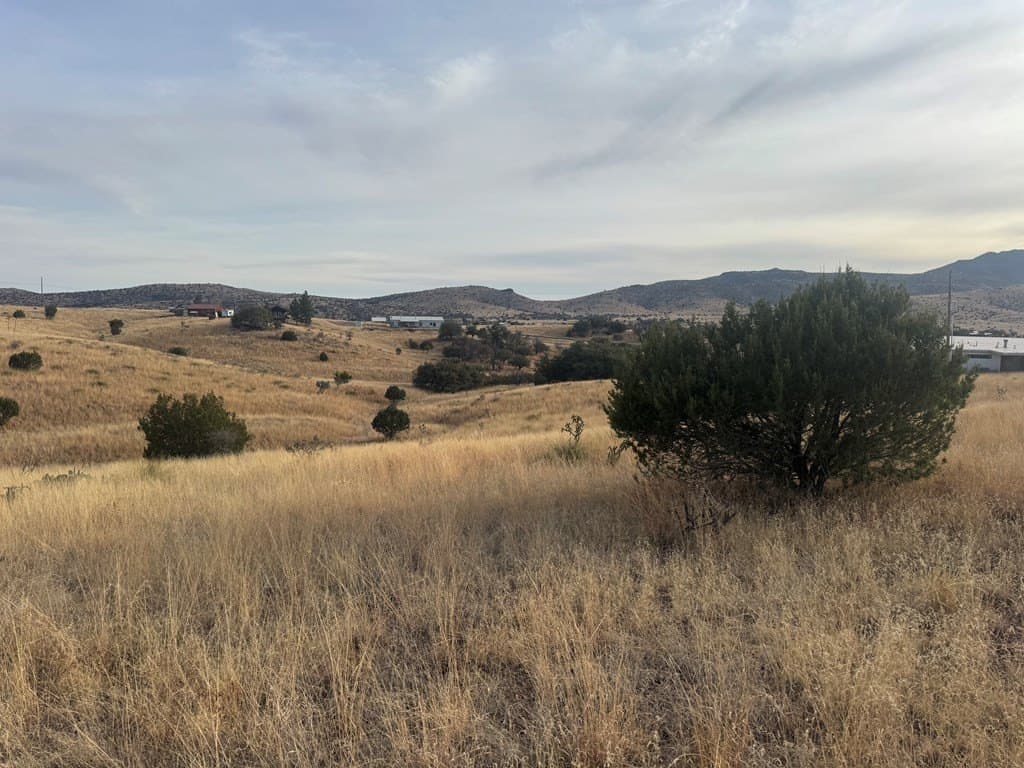 5 acres in Jeff Davis County - photo 5