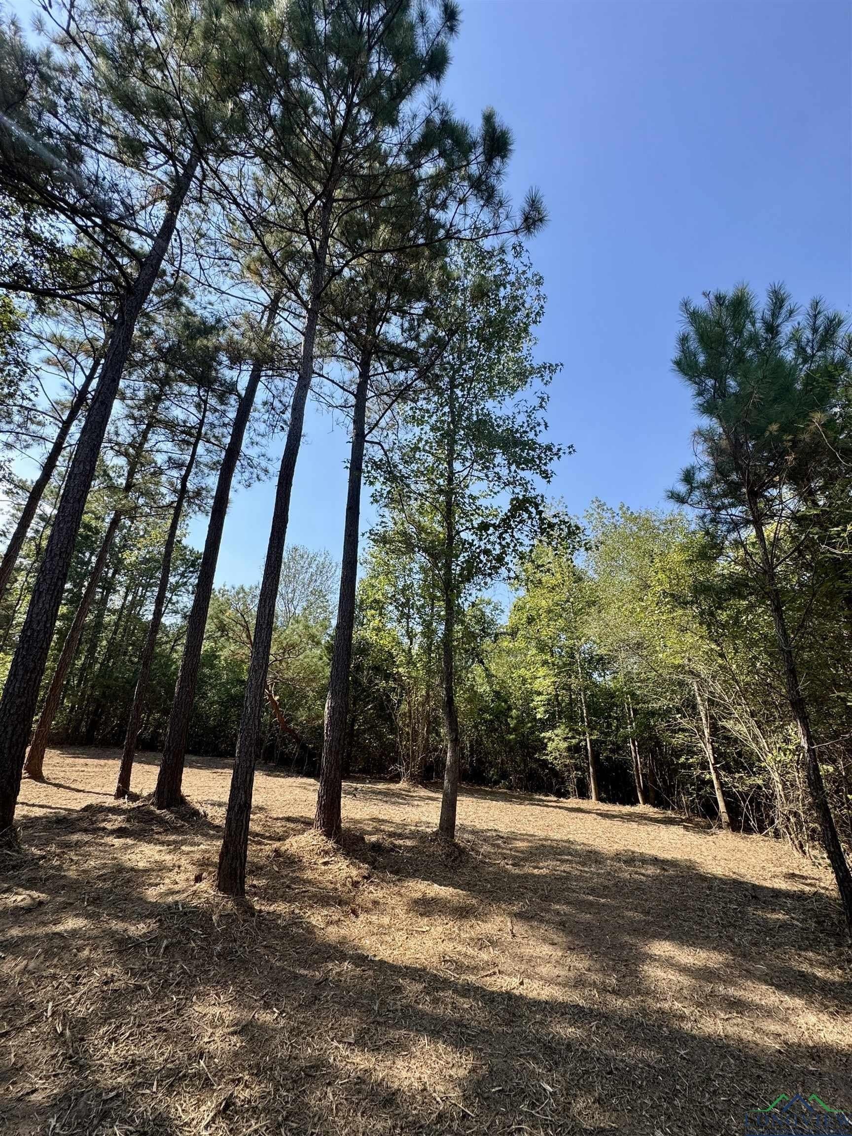 16.7 acres in Cass County featured view