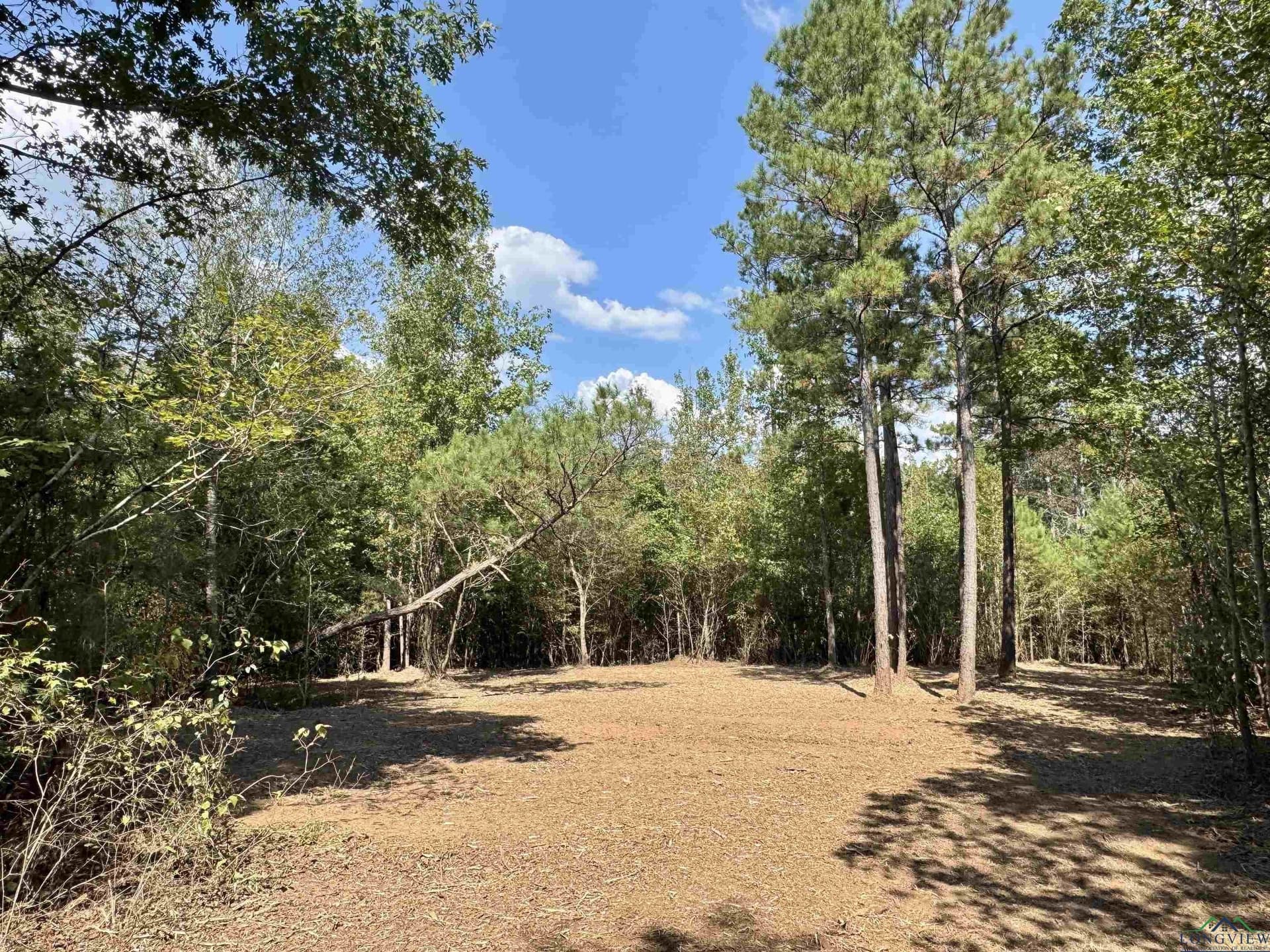 16.7 acres in Cass County gallery image 3