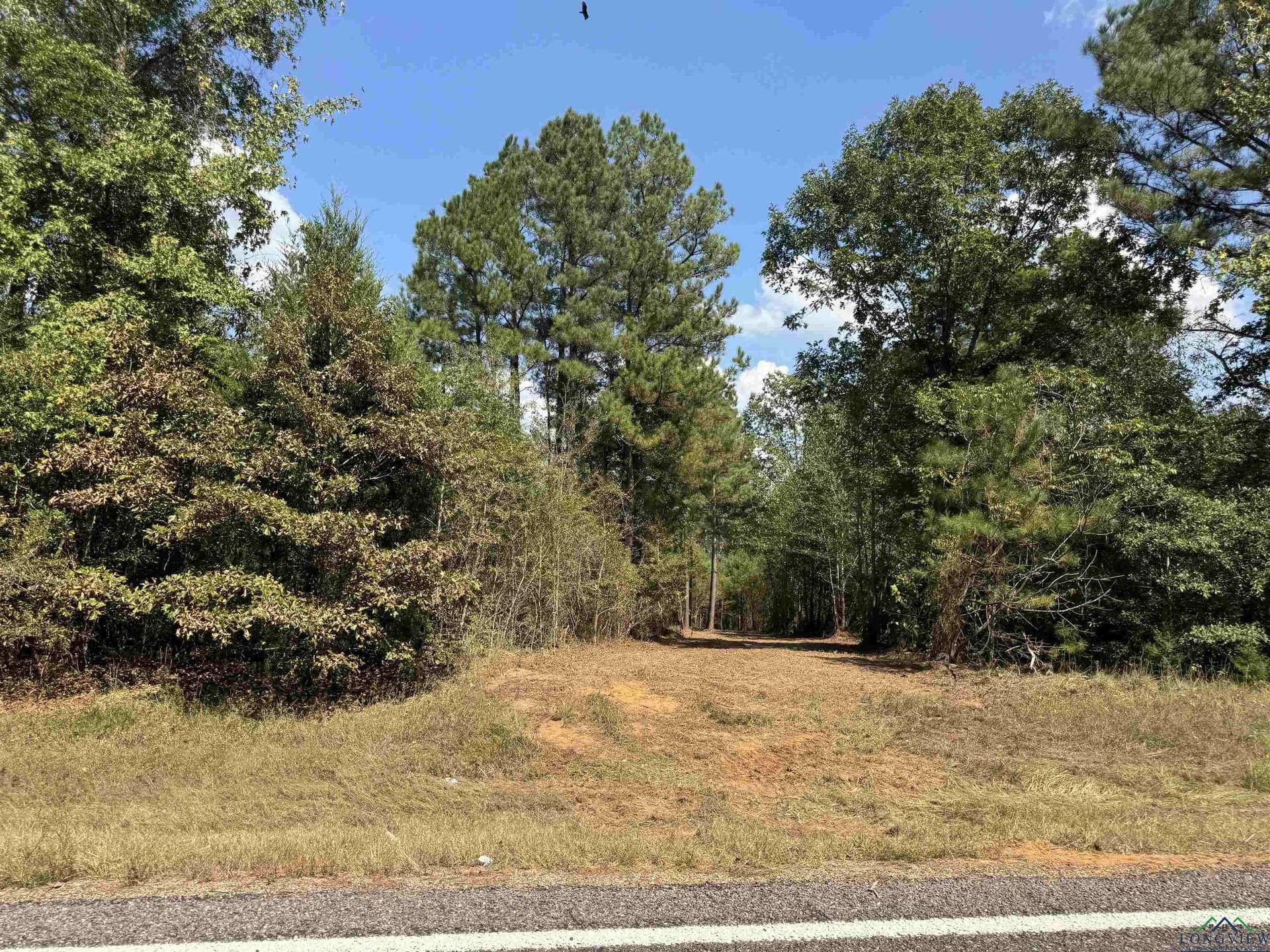 16.7 acres in Cass County gallery image 2