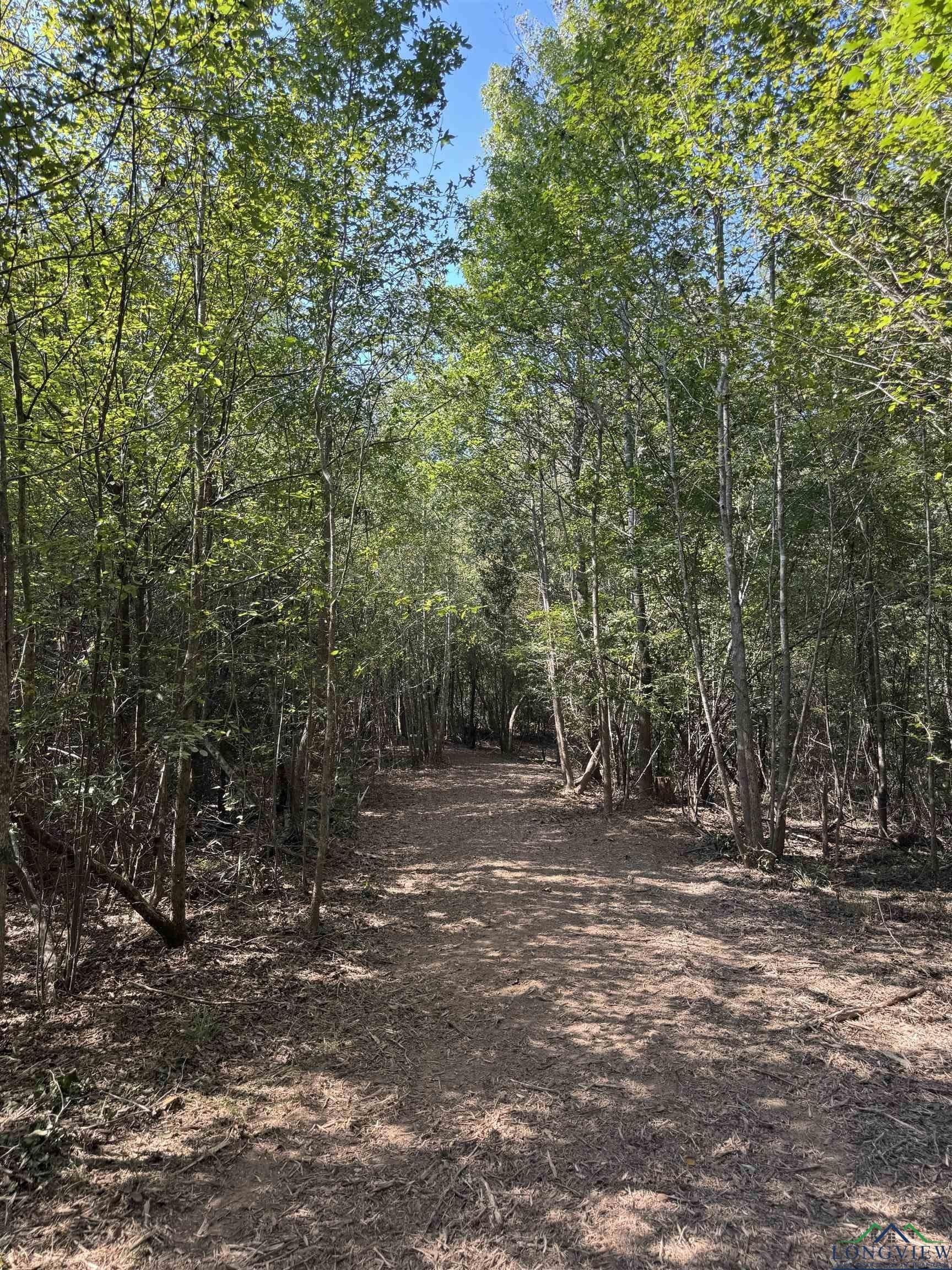 16.7 acres in Cass County gallery image 4