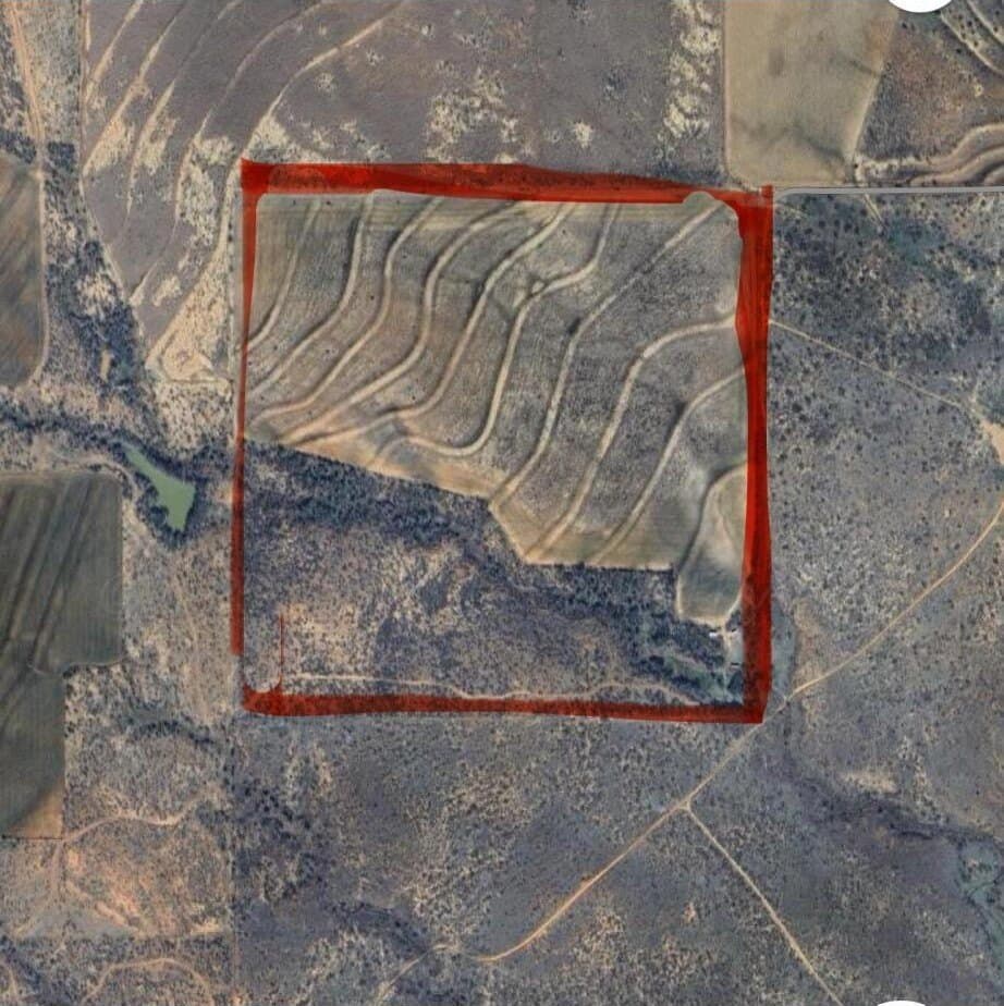 161.75 acres in Motley County gallery image 4