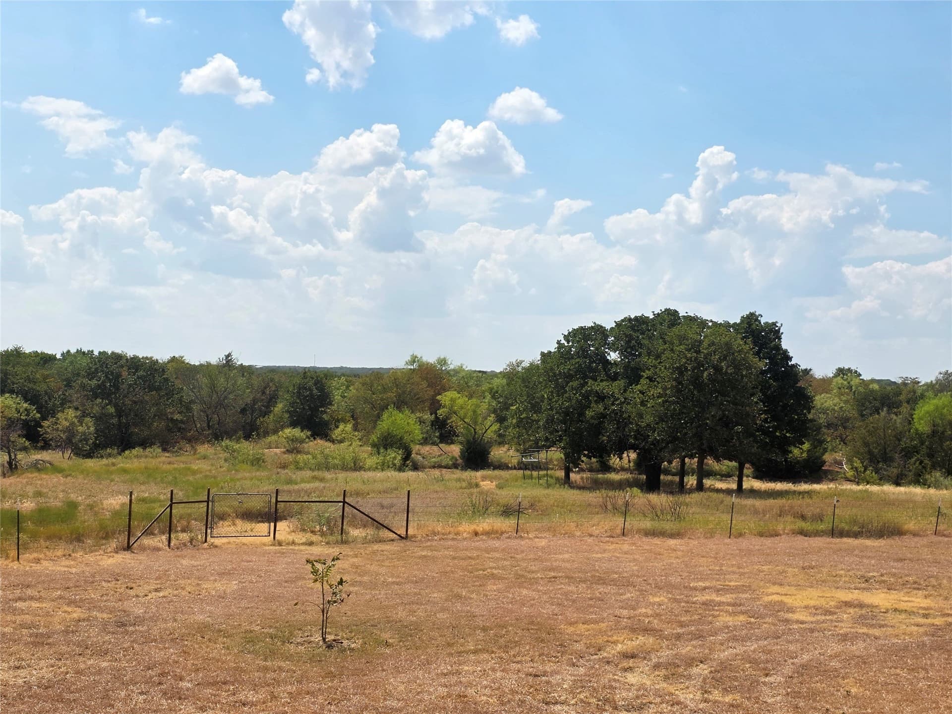 29.1 acres in Montague County - photo 6