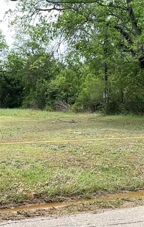 0.38 acres in Burleson County - photo 2