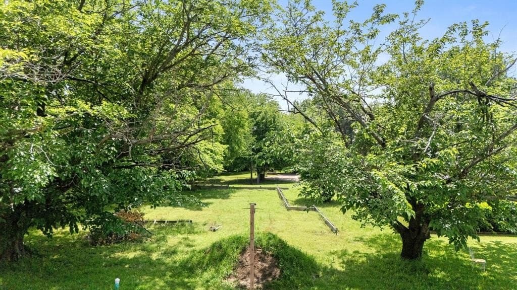 0.19 acres in Fannin County gallery image 4