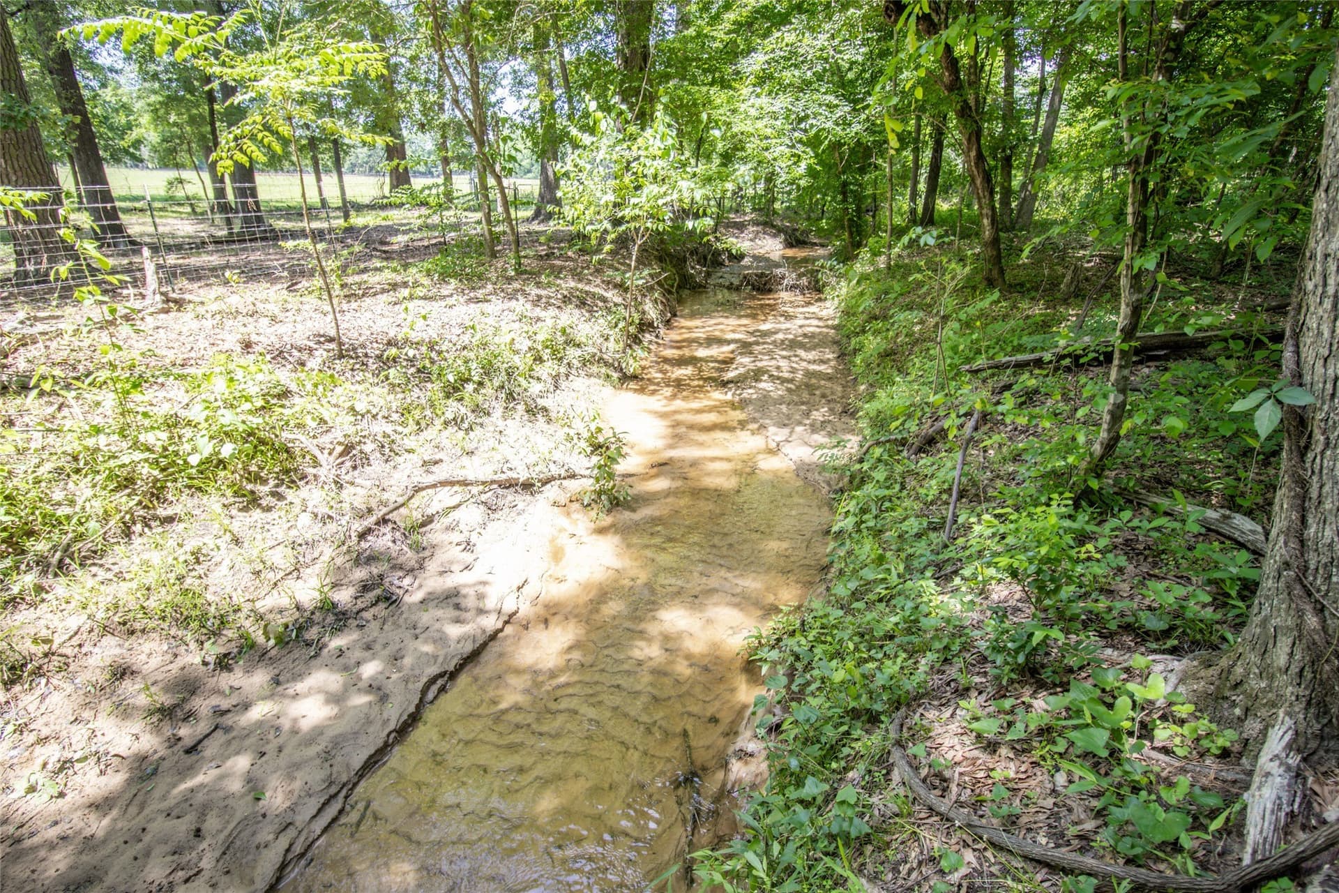 20.11 acres in Shelby County - photo 40