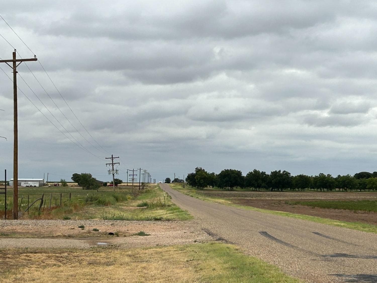 12.7 acres in Hockley County gallery image 4