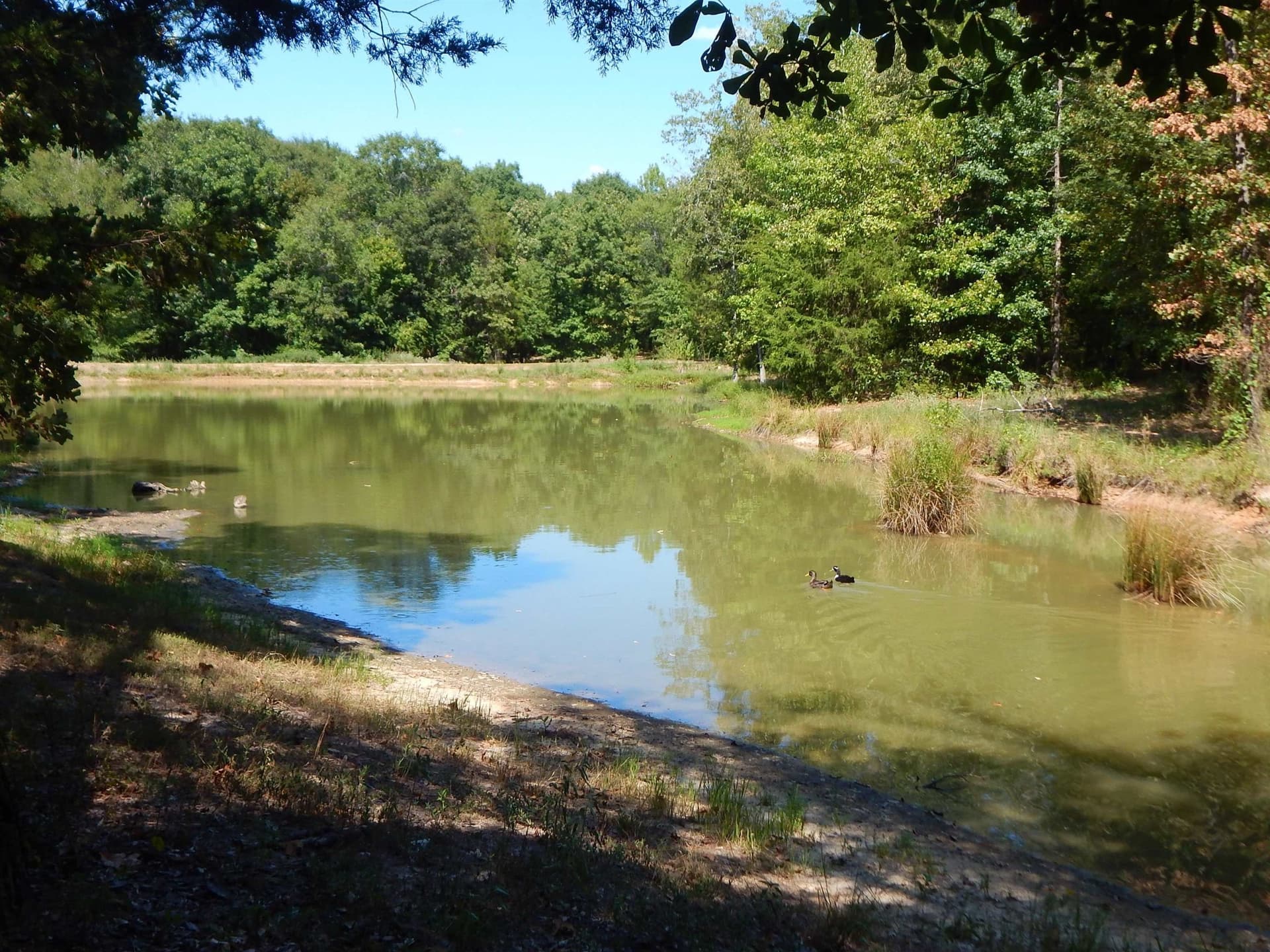12.5 acres in Upshur County - photo 29