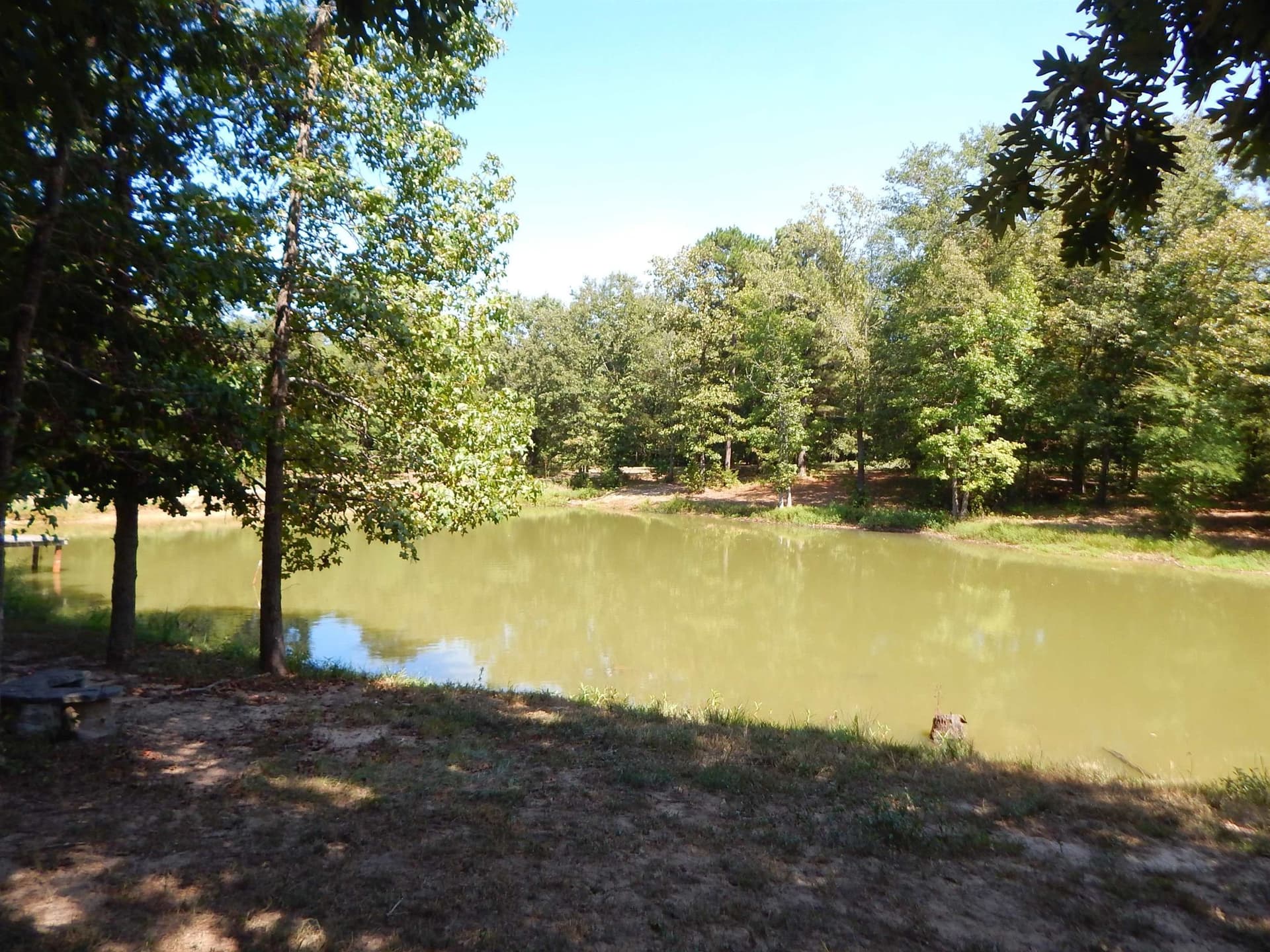 12.5 acres in Upshur County - photo 20