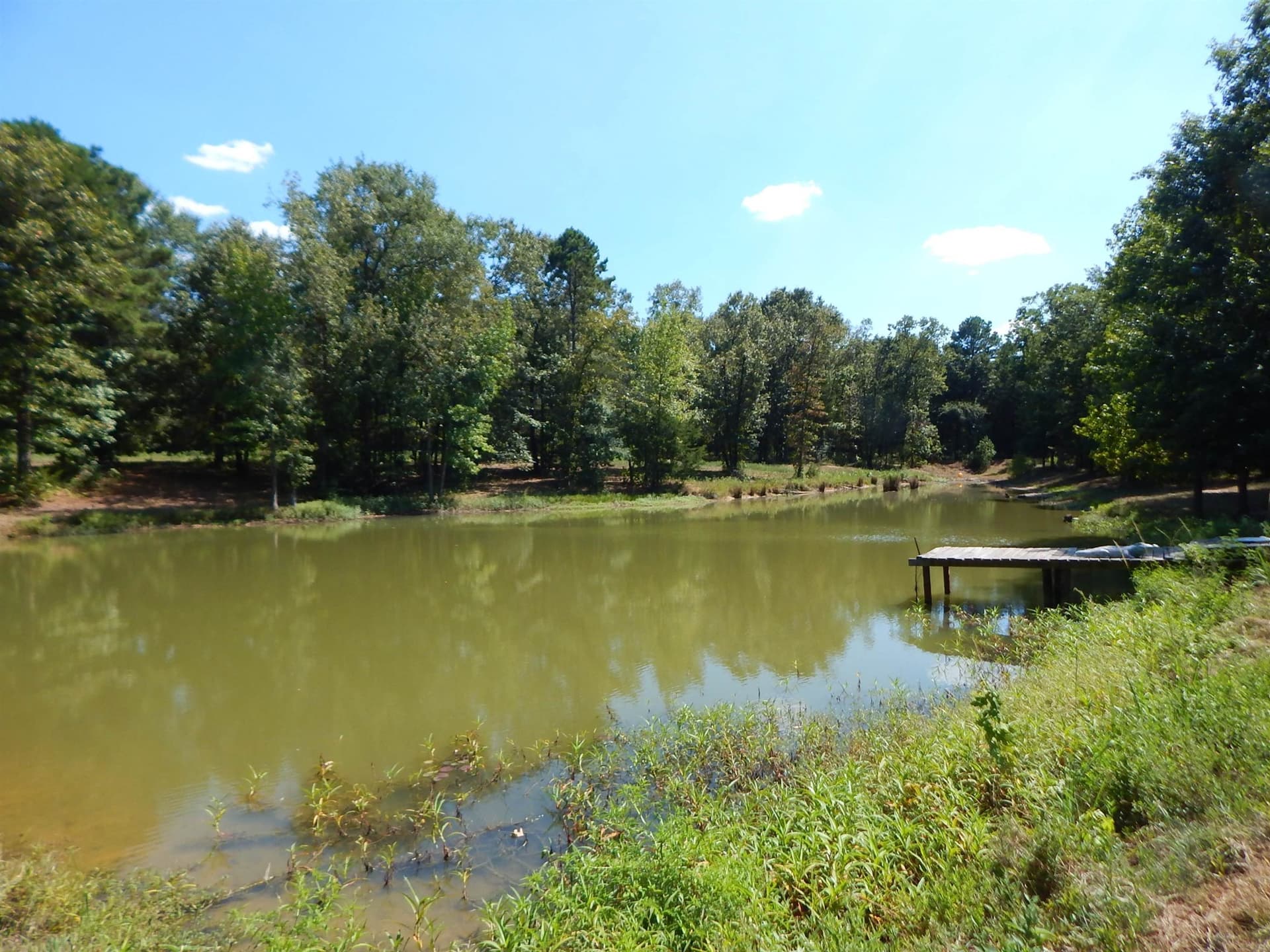 12.5 acres in Upshur County - photo 21
