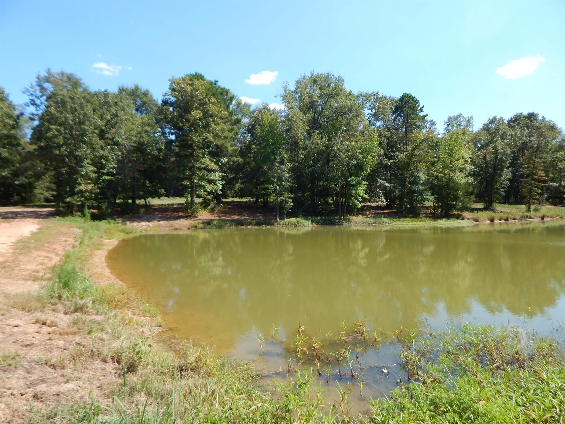 12.5 acres in Upshur County - photo 22