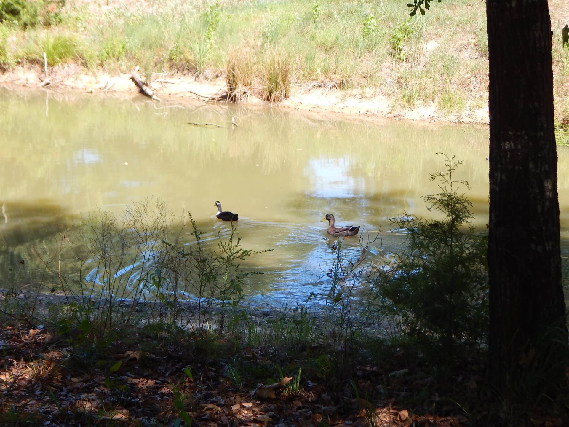 12.5 acres in Upshur County - photo 28