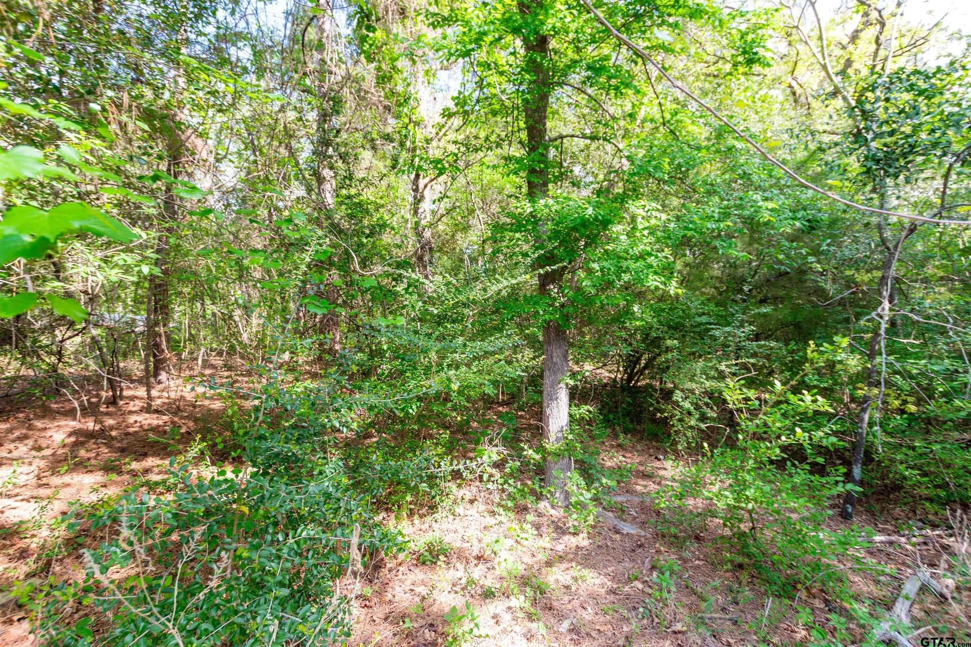3.35 acres in Cherokee County - photo 7