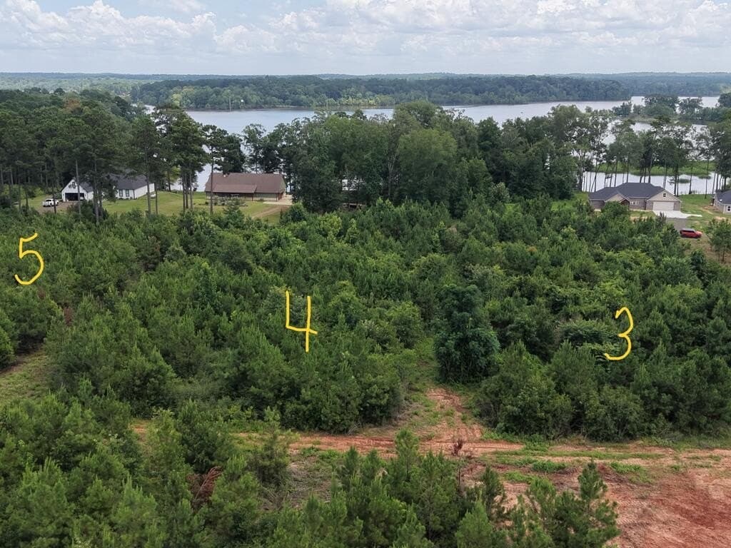 1.5 acres in Texas County - photo 5