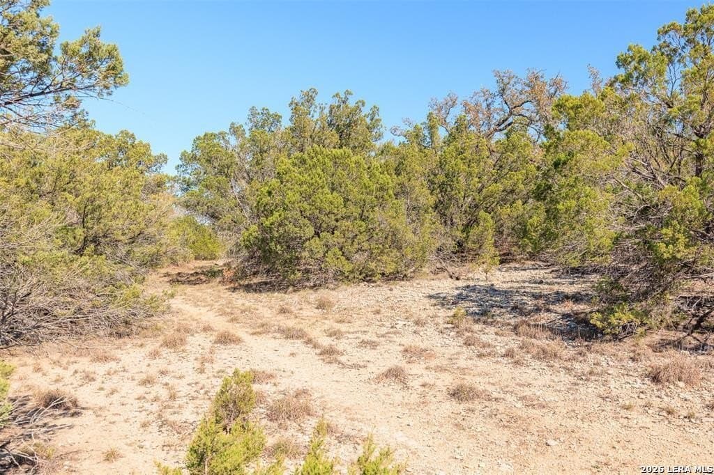 9.63 acres in Hays County featured view