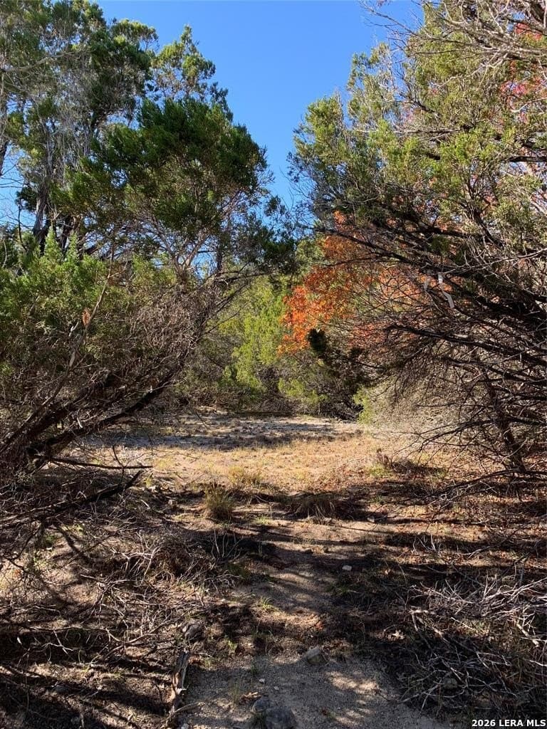 9.63 acres in Hays County - photo 7