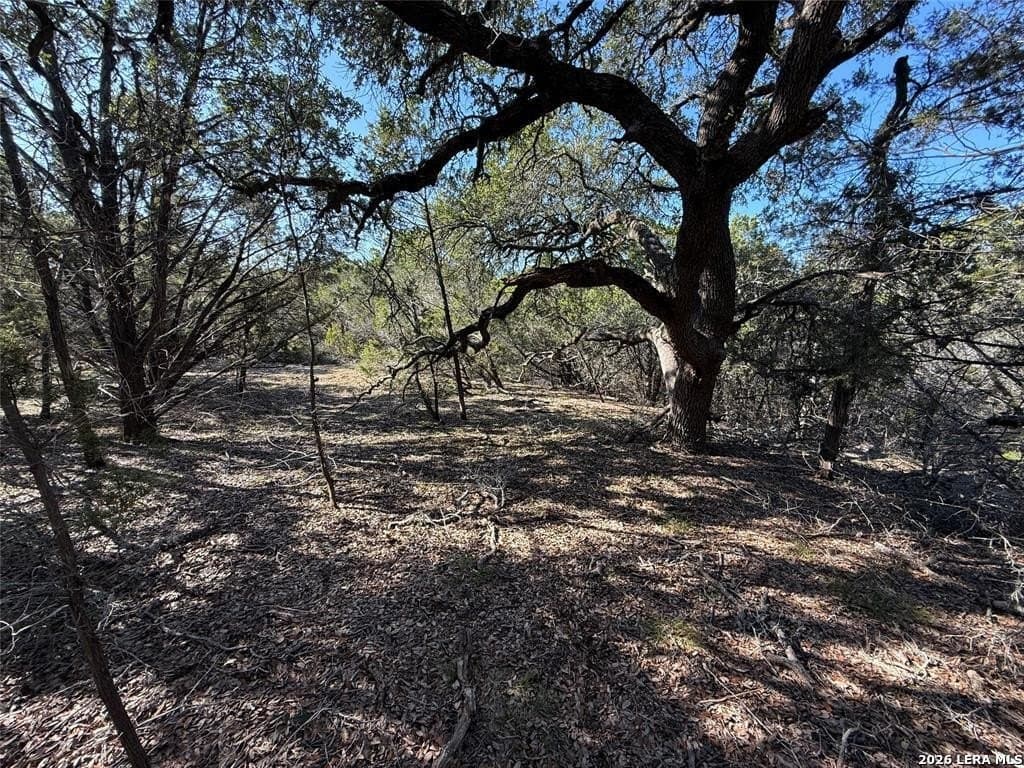 9.63 acres in Hays County gallery image 3