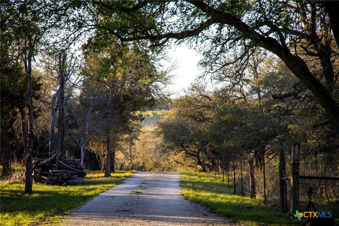 11.77 acres in Comal County gallery image 4