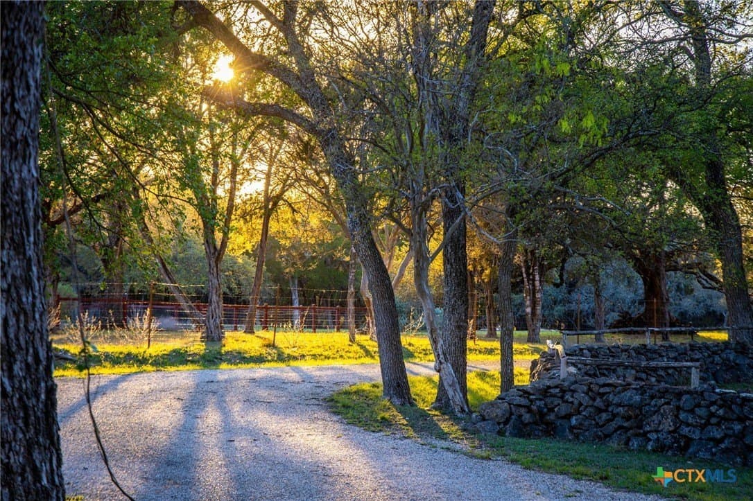 11.77 acres in Comal County featured view