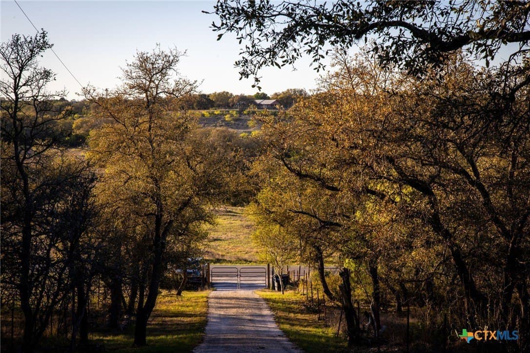 11.77 acres in Comal County gallery image 3