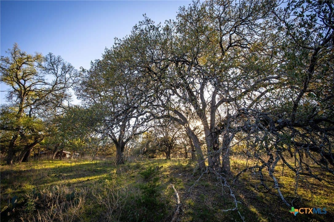 11.77 acres in Comal County - photo 7